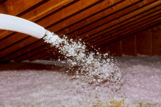Best DIY Insulation Kits and Guidance in Excelsior, MN