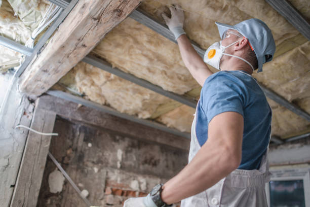 Best Cellulose Insulation in Excelsior, MN