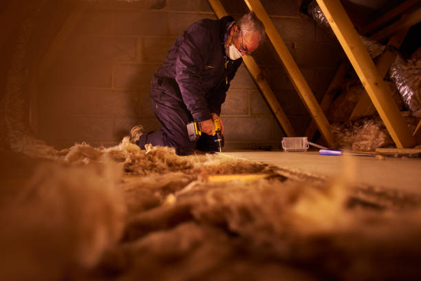 Best Eco-Friendly Insulation in Excelsior, MN